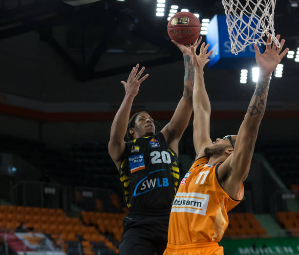 中所展现的 中所展现的